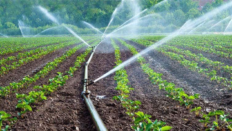 Subsidy Offer: Gehlot Govt Provide 75% Subsidy on Drip and Sprinkler Irrigation Subsidy Offer: આ રાજ્યમાં ખેડૂતોને મોટી રાહત, ડ્રિપ-સ્પિંકલર સિસ્ટમ પર મળી રહી છે 75 તકા સબસિડી
