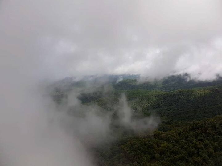 मात्र जैवविविधतेने संपन्न असलेल्या आंबोलीत जणू ढग डोंगरावर अडकल्याप्रमाणे दाटून राहिले आहे.