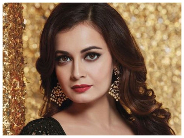 Dia Mirza Biography: एक्टर हमेशा एक्टर ही होता है, प्रोड्यूसर के कंधों पर होता है जिम्मेदारियों का बोझ- दीया मिर्ज़ा