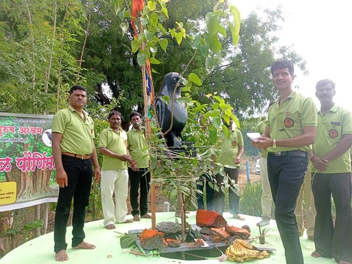 maharashtra News Aurangabad husbands Celebrate Vat Purnima 7 सेकंदही अशी बायको नको; पत्नीपीडित नवरोबांची पिंपळपौर्णिमा, झाडाला 108 उलट्या प्रदक्षिणा