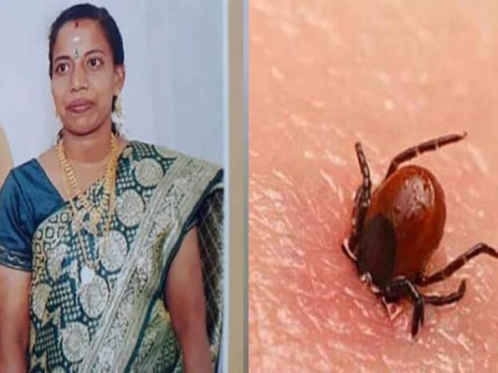 Second death in Kerala due to Scrub Typhus Scrub Typhus : அடுத்த அச்சுறுத்தல்.. 3 நாட்களில் இரண்டாவது மரணம்.. அதிரவைக்கும் ஸ்க்ரப் டைஃபஸ் தொற்று