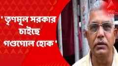Dilip Ghosh On Howrah Violence : 'যারা ওদের ভোট দিয়ে জিতিয়েছে, তাদের  ছাড় দেওয়া হচ্ছে', মন্তব্য দিলীপ ঘোষের