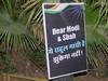 National Herald Case: ‘ये राहुल गांधी है, झुकेगा नहीं...’, मनी लांड्रिंग मामले में ईडी के सामने पेशी से पहले घर के बाहर लगे पोस्टर्स