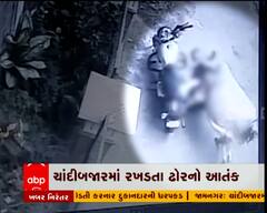 જામનગરમાં રખડતા ઢોરે લીધો વધુ એક નિર્દોષનો જીવ