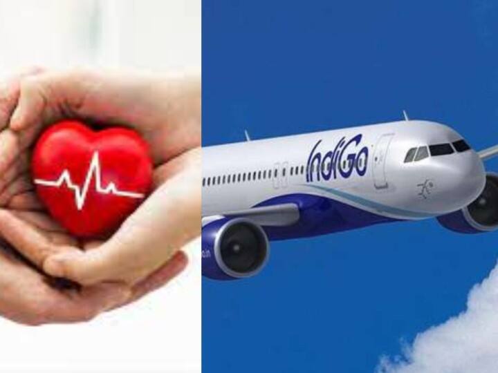 IndiGo Airlines Transports Heart From Vadodara To Mumbai In 2.5 Hours, Saves Patients Life அது வெறும் 'இதயம்' இல்லை.. ஓர் உயிர்!  இரண்டரை மணி நேரத்தில் குஜராத் - மும்பை பறந்த ஹார்ட்!!