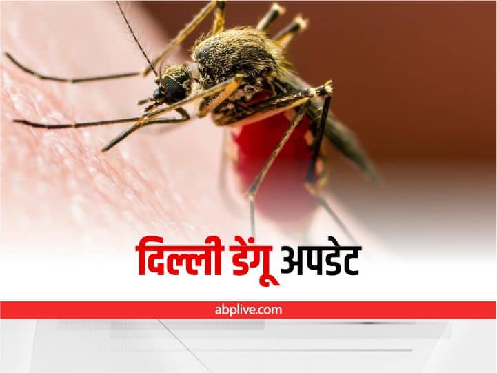 Delhi Dengue Update 169 Cases report in This Year Highest Since 2017 According MCD Delhi Dengue Update: दिल्ली में इस साल अब तक डेंगू के 169 केस दर्ज, 2017 के बाद सबसे अधिक मामले