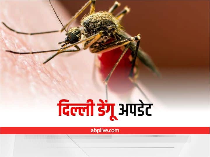 Delhi recorded a total of 158 dengue cases and 8 Chikungunya and 29 Malaria cases Delhi Dengue Update: राजधानी दिल्ली में डेंगू के अब तक 158 केस, मलेरिया के 29 मामले मिले