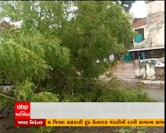 અમદાવાદમાં પ્રિ-મોનસૂન દાવા પોકળ, સામાન્ય વરસાદે વૃક્ષ પડવાની ઘટના
