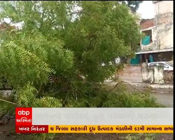 અમદાવાદમાં પ્રિ-મોનસૂન દાવા પોકળ, સામાન્ય વરસાદે વૃક્ષ પડવાની ઘટના