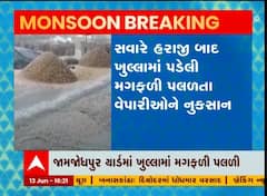 જામજોધપુર યાર્ડ પ્રશાસનની બેદરકારીથી મગફળીનો જથ્થો પલળ્યો