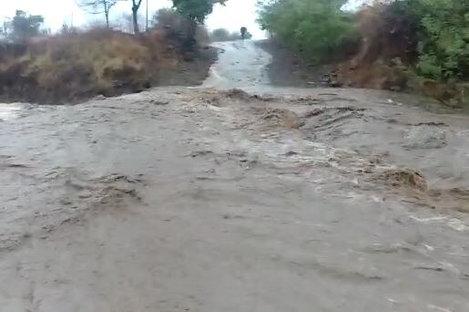 Maharashtra Rain : पश्चिम महाराष्ट्रासह उत्तर महाराष्ट्रात पावसाची दमदार बॅटिंग, लोणार तालुक्यातील चार गावाचा संपर्क तुटला