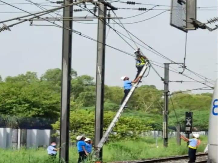 Birds become trouble for DMRC, making shelter for metro wires, services getting affected Delhi Metro: डीएमआरसी के लिए मुसीबत बने पक्षी, मेट्रो के तारों को बना रहे बसेरा, मेट्रो सेवाएं हो रहीं प्रभावित