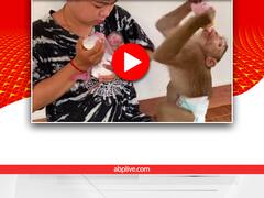 Watch: ये बच्चे बंदर के हैं या इंसान के! वीडियो देखकर आप भी यही पूछेंगे