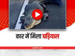 Watch: पुलिस ने पकड़ी तेज रफ्तार कार, अंदर जो मिला उसे देख हैरान हो जाएंगे आप