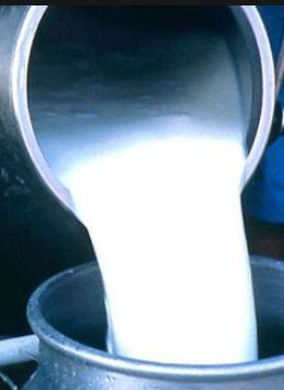 Photo : दुधाच्या FRP बाबत शेतकरी प्रतिनिधींशी चर्चा करुन निर्णय घेऊ : अजित पवार