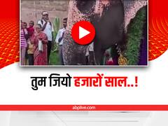 Watch Elephant Birthday Party: हाथी ने धूमधाम से मनाया अपना जन्मदिन, पार्टी का वीडियो हुआ वायरल