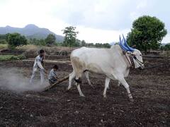 Nagpur : प्रधानमंत्री किसान सन्मान निधी योजना; ऑनलाईन केवायसीसाठी 31 जुलैपर्यंत मुदतवाढ