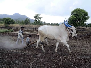Nagpur : प्रधानमंत्री किसान सन्मान निधी योजना; ऑनलाईन केवायसीसाठी 31 जुलैपर्यंत मुदतवाढ