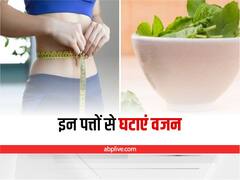 Weight Loss: वजन घटाने में मदद करेंगे ये पत्ते, जरूर करें इनका सेवन