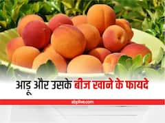 Health Tips: आड़ू ही नहीं उसके बीज भी हैं फायदेमंद, दूर हो जाएंगी ये बीमारियां