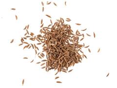 Weight Loss Drink: 15 दिनों में इन देसी ड्रिंक्स के जरिए घटाएं अपना वजन, सेहत के लिए भी है फायदेमंद