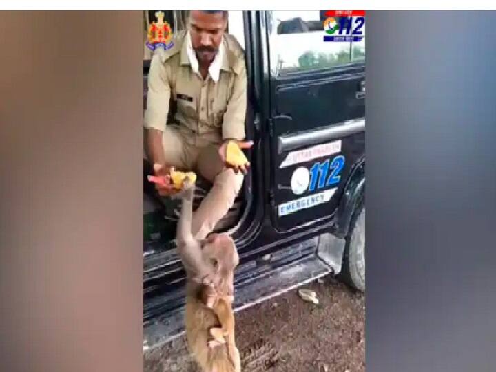 Watch: UP Police Constable Feeds Mango To Monkey, Internet Lauds His Kindness குரங்குக்கு கனிவுடன் மாங்கனி கொடுத்த காவலர்! வைரலாகும் வீடியோ