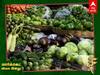 Vegetables Price Today: கொஞ்சமா காசு கொண்டுபோங்க.. இந்த காய்களை அள்ளிக்கிட்டு வரலாம்.. இதோ ஒரு லிஸ்ட்..