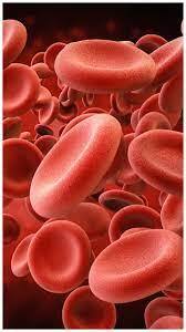 இன்று World Blood Donor's day:  இரத்தம் தானம் வழங்குவோர் கவனிக்க வேண்டியவை!