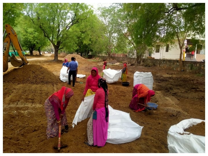 Jodhpur Gaushala Cow dung will be sent to Gulf countries ANN Rajasthsn News: भारत से मुस्लिम देशों में भेजा जाएगा देसी गाय का गोबर, कुवैत पहुंचेगी 192 टन की पहली खेप