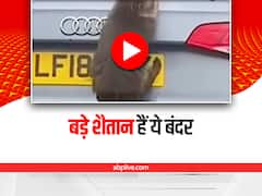 Watch: इन शैतान बंदरों ने पहले गाड़ी का वाइपर तोड़ा और फिर नंबर प्लेट, वीडियो वायरल
