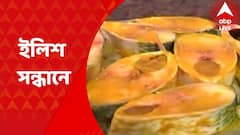 Hilsa: শেষ হচ্ছে গভীর সমুদ্রে মাছ ধরতে যাওয়ার ওপর নিষেধাজ্ঞা। বুধবার থেকে ইলিশের খোঁজে সমুদ্রে পাড়ি দিতে তৈরি কয়েকশো ট্রলার। Bangla News