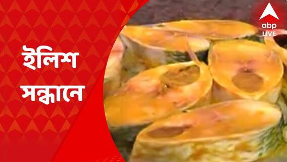 Hilsa: শেষ হচ্ছে গভীর সমুদ্রে মাছ ধরতে যাওয়ার ওপর নিষেধাজ্ঞা। বুধবার থেকে ইলিশের খোঁজে সমুদ্রে পাড়ি দিতে তৈরি কয়েকশো ট্রলার। Bangla News