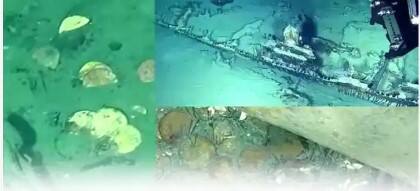 Watch: 17 billion treasure found in two ships that sank 300 years ago Watch : ਸਮੁੰਦਰ ਅੰਦਰ 300 ਸਾਲ ਪਹਿਲਾਂ ਡੁੱਬੇ 2 ਜਹਾਜ਼ਾਂ 'ਚੋਂ ਮਿਲਿਆ 17 ਬਿਲੀਅਨ ਡਾਲਰ ਦਾ ਖ਼ਜਾਨਾ