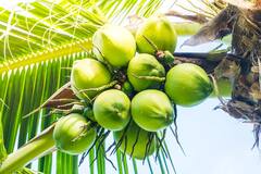 Coconut Water For Glowing Skin: નારિયેળ પાણી માત્ર સ્વાસ્થ્ય માટે જ નહીં પરંતુ ત્વચા માટે પણ છે ફાયદાકારક છે