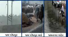 જામ જોધપુર યાર્ડમાં વરસાદને કારણે પલળી મગફળીની જણસ, જુઓ કેવી છે સ્થિતિ?