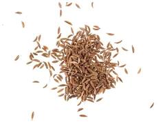 Weight Loss Tips : फक्त 15 दिवसांत 'या' घरगुती पेयांद्वारे वजन कमी करा; आरोग्यासाठीही गुणकारी