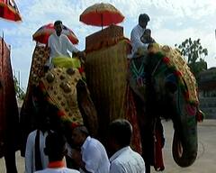 Ahmedabad Rathyatra 2022: બે વર્ષ બાદ નીકળી ભગવાન જગન્નાથની જળયાત્રા, ભક્તો મન મૂકીને નાચ્યા, જુઓ તસવીરો