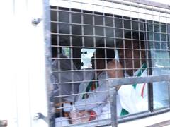 Ahmedabad News: अहमदाबाद में हिरासत में लिए गए कांग्रेस नेता जगदीश ठाकोर, बोले- 'दहशत में है बीजेपी' 