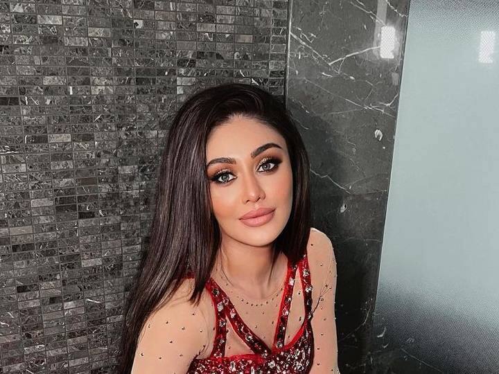 प्रसिद्ध बॉलीवूड अभिनेत्री शेफाली जरीवाला तिच्या लूकमुळे काही काळापासून चर्चेत आली आहे. आजही 'कांटा लगा गर्ल' म्हणून ओळखल्या जाणाऱ्या शेफालीला आता कोणाच्याही परिचयाची  गरज नाही.(photo:shefalijariwala/ig)