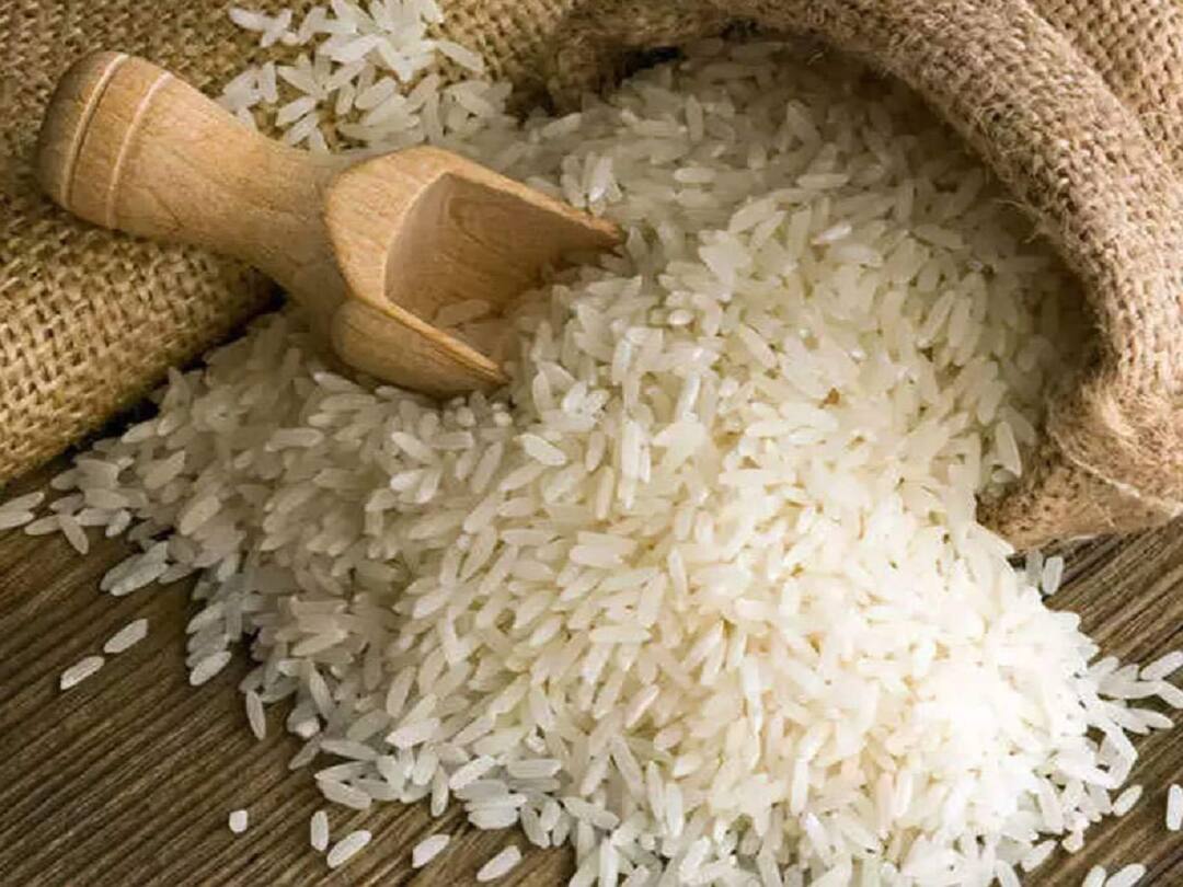 Gadchiroli farmers agitate for various demands including increasing the limit of government procurement of paddy Farmers Agitation : शासकीय धान खरेदीची मर्यादा वाढवावी यासह विविध मागण्यांसाठी शेतकऱ्यांच आंदोलन  