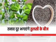 Health Tips: तुलसी के बीज खाने से दूर होगा तनाव, बढ़ेगी इम्यूनिटी