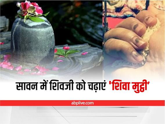 Sawan Somwar 2022: कब है सावन का पहला सोमवार, सावन में ये 5 अनाज भोलेनाथ को जरूर चढ़ाएं Sawan Somwar 2022: कब है सावन का पहला सोमवार, सावन में ये 5 अनाज भोलेनाथ को जरूर चढ़ाएं