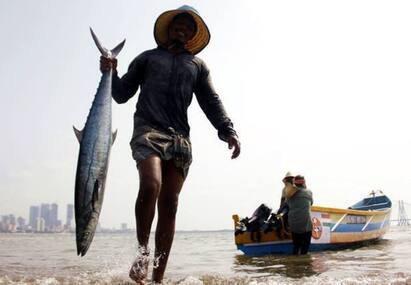 India stands against WTO resolution that seeks ban on Fishing subsidies `ஏற்றுக்கொள்ள முடியாது!’ - மீனவர் விவகாரத்தில் உலக வர்த்தக அமைப்புக்கு எதிராக நிற்கும் இந்தியா!
