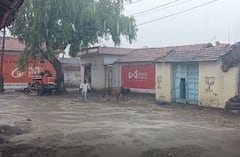 Gujarat Monsoon: રાજકોટમાં વીજળી પડતાં યુવકનું મોત, જસદણમાં બે ઈંચ વરસાદથી નદીમાં આવ્યું પૂર
