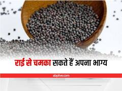 Rai ka Upay: चुटकी भर राई से चल पड़ेगा मंद पड़ा व्यापार, अपनाएं ये 5 टोटके