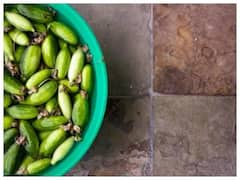 Health Benefits Of Tindora: વજન ઘટાડવામાં મદદગાર છે ટીંડોળા, જાણો ખાવાના ગજબ ફાયદા