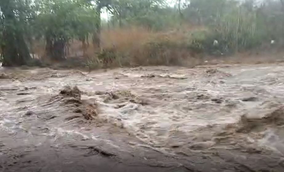 Gujarat Monsoon: રાજકોટમાં વીજળી પડતાં યુવકનું મોત, જસદણમાં બે ઈંચ વરસાદથી નદીમાં આવ્યું પૂર