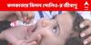 Polio virus : দেশকে পোলিও-মুক্ত ঘোষণা করার ৮ বছর পর কলকাতায় মিলল পোলিও ভাইরাস !