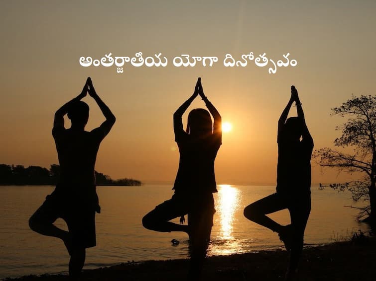 India is the country that introduced yoga to the world, Do you know who is the father of yoga? Yoga Day 2022: యోగాను ప్రపంచానికి పరిచయం చేసింది మనమే, యోగా పితామహుడు ఎవరో తెలుసా?