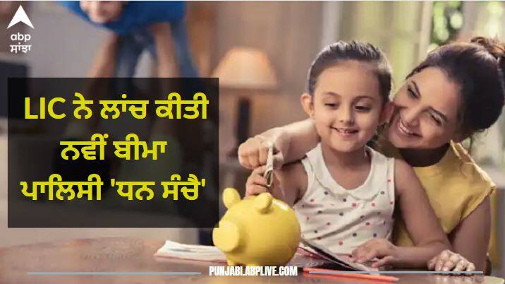 LIC Dhan Sanchay Policy: LIC launched new life insurance policy Dhan Sanchay LIC Dhan Sanchay Policy: LIC ਨੇ ਲਾਂਚ ਕੀਤੀ  ਨਵੀਂ ਬੀਮਾ ਪਾਲਿਸੀ 'ਧਨ ਸੰਚੈ', ਜਾਣੋ ਫਾਇਦੇ